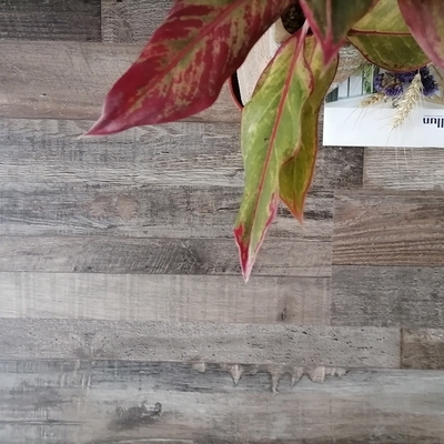 SPC Flooring Modern Design Fireproof Luxury Vinyl Plank Interlocking Stone Wood Flooring